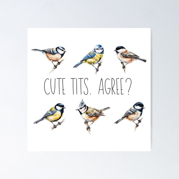 Item preview, Cute Tits - Funny Bird Pun Blue Tit Chickadee Cute Bird Lover Design designed and sold by ArcticFoxStudio.