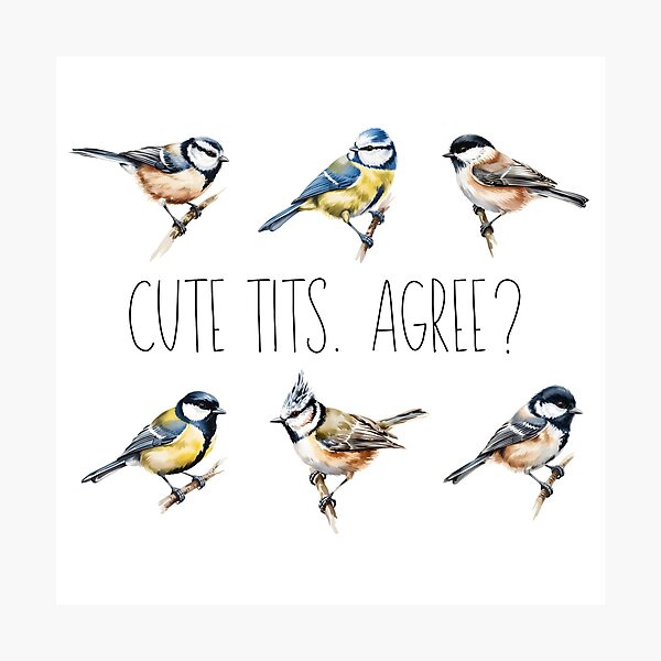 Item preview, Cute Tits - Funny Bird Pun Blue Tit Chickadee Cute Bird Lover Design designed and sold by ArcticFoxStudio.