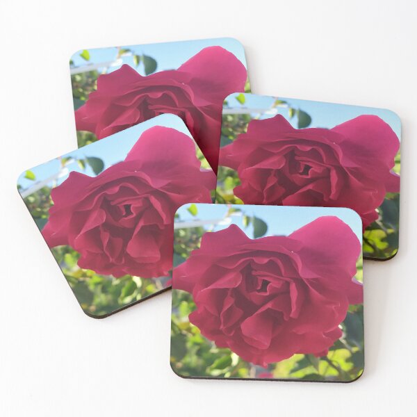 Item preview, Rose forever designed and sold by MirelleHDB.