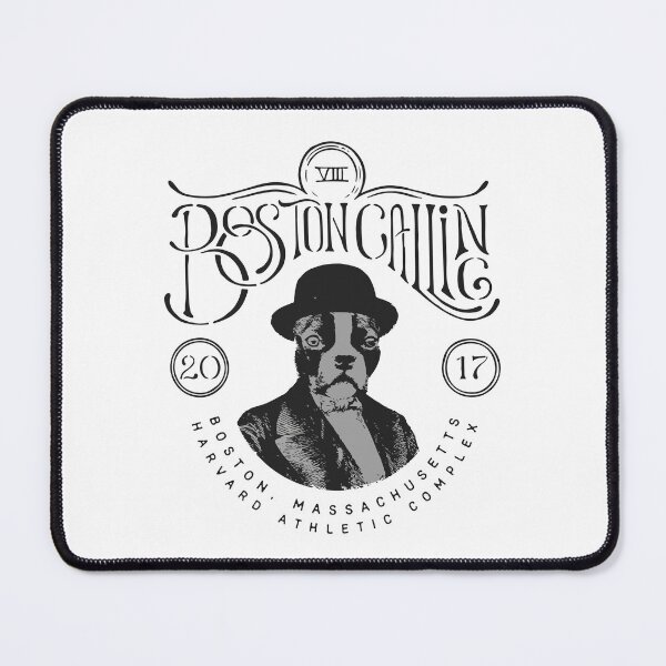 Item preview, Boston Calling Music Festival designed and sold by CherryposhPaint.