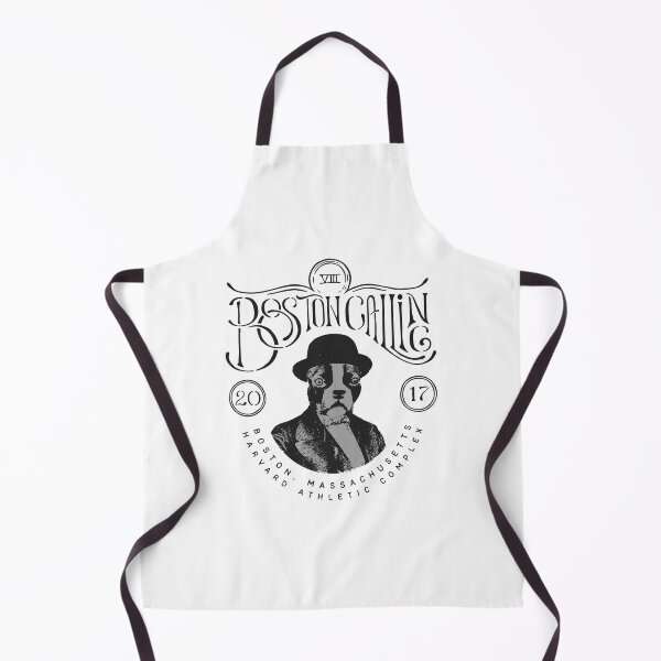 Item preview, Boston Calling Music Festival designed and sold by CherryposhPaint.
