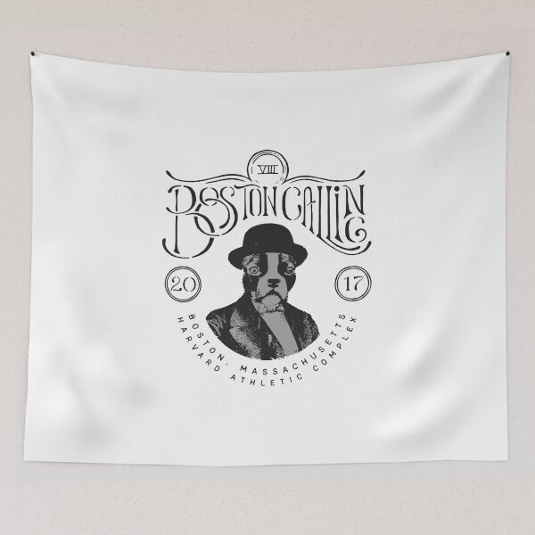 Item preview,  Boston Calling Music Festival designed and sold by CherryposhPaint.