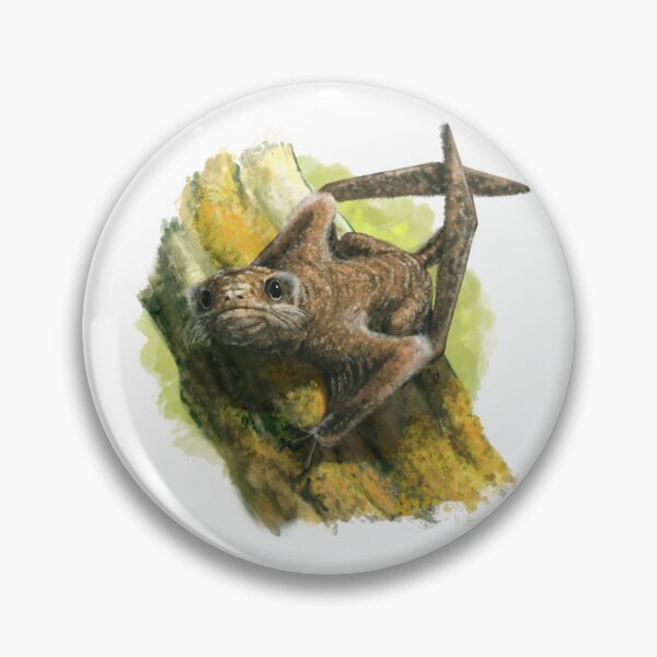 Item preview, Jeholopterus(?) designed and sold by MarkWitton.