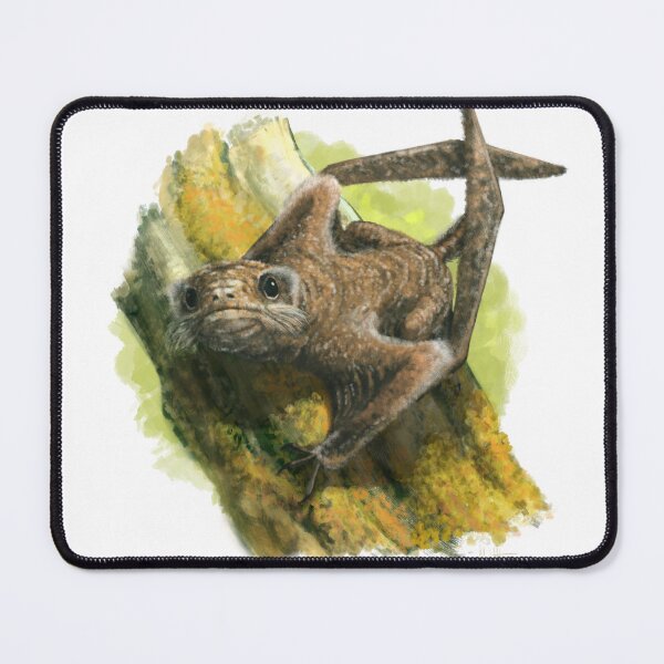Item preview, Jeholopterus(?) designed and sold by MarkWitton.