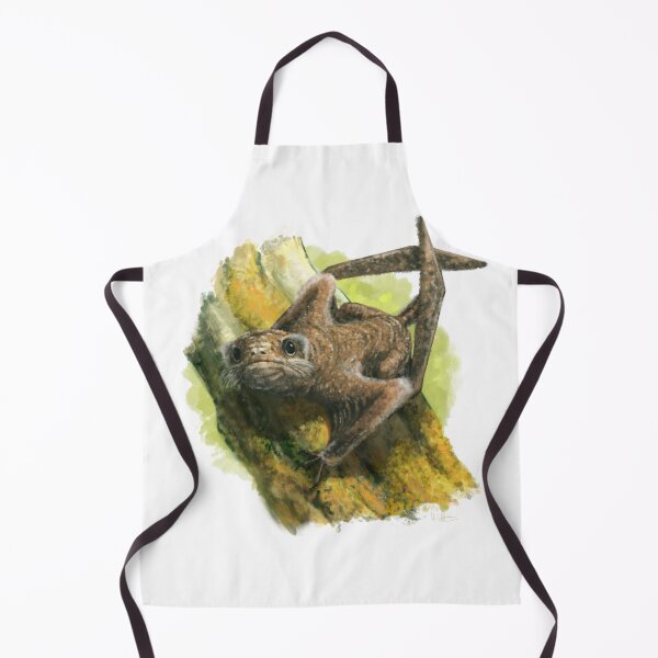 Item preview, Jeholopterus(?) designed and sold by MarkWitton.