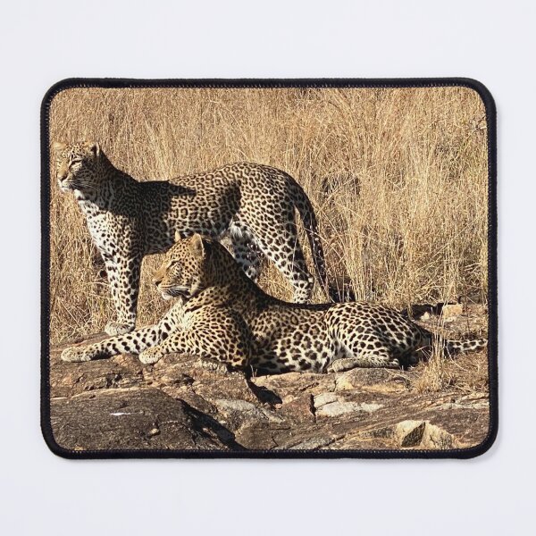 Item preview, Perfect couple, Leopards, Kruger Park, photo designed and sold by DebbieJoyArt.