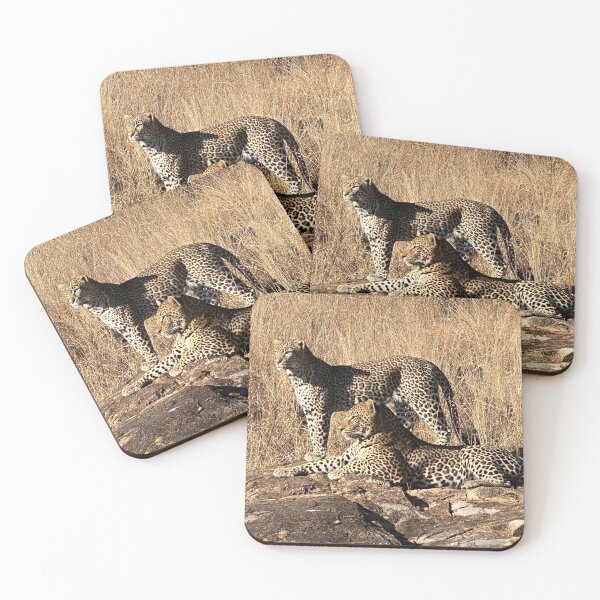 Item preview, Perfect couple, Leopards, Kruger Park, photo designed and sold by DebbieJoyArt.