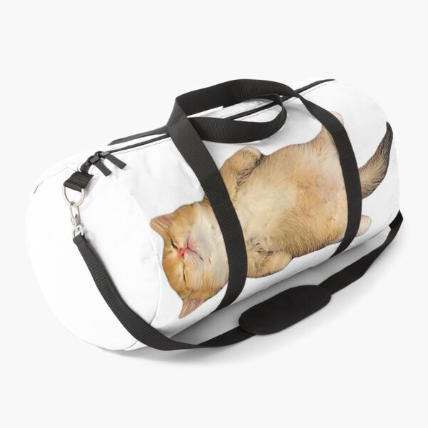 Item preview, Eepy Cat, Silly Sleepy Cat Meme  designed and sold by BareCrack.
