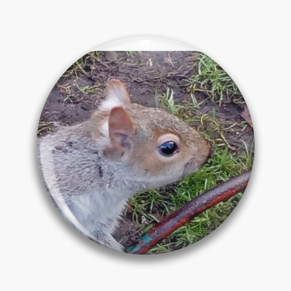Item preview, Curious Grey Squirrel — London Park, UK designed and sold by EmmaGraphy.