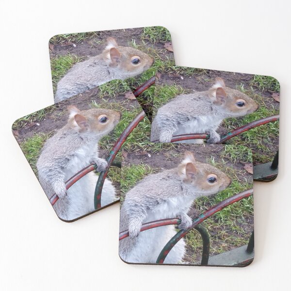 Item preview, Curious Grey Squirrel — London Park, UK designed and sold by EmmaGraphy.