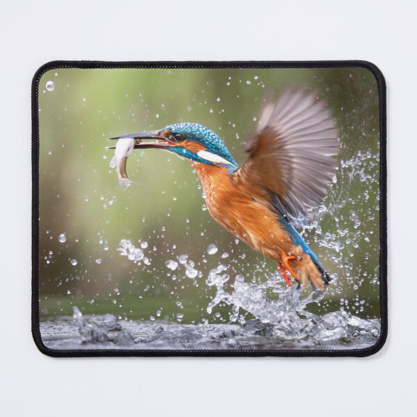 Item preview, The splash of victory designed and sold by Yvonne Buiten.
