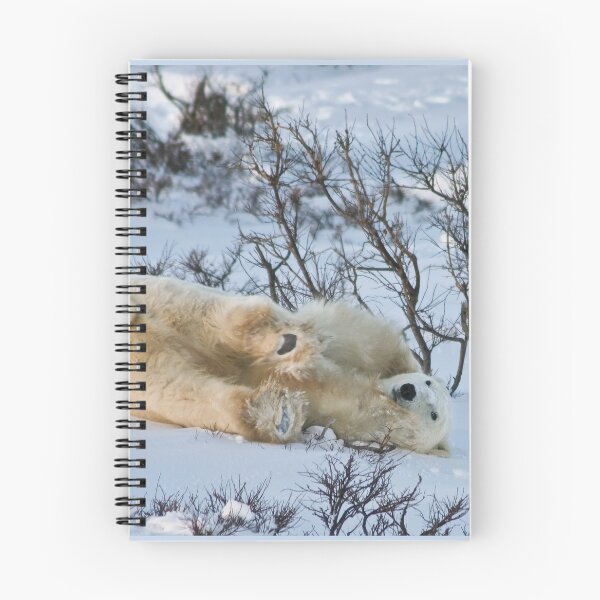 Item preview, Yoga Bear Embarrassment designed and sold by Owed To Nature.