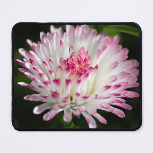 Item preview, Pretty in Pink designed and sold by Kasia Design.