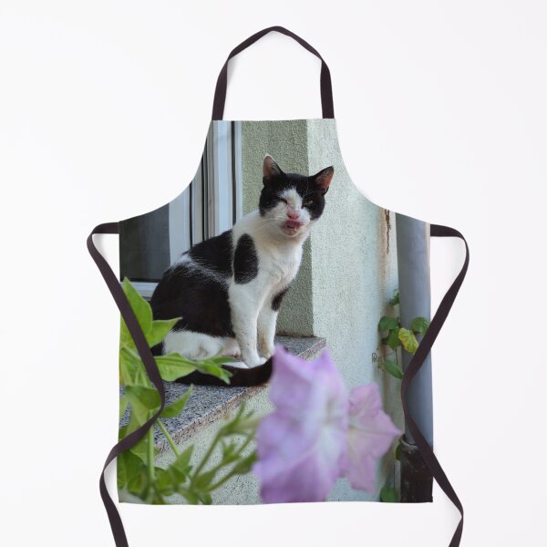 Item preview, Cat in the window designed and sold by Gourmetkater.