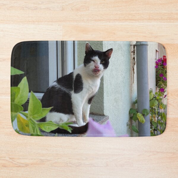 Item preview, Cat in the window designed and sold by Gourmetkater.