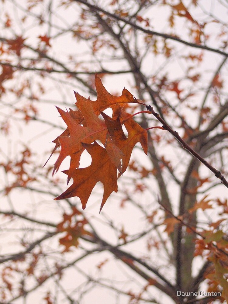 Thumbnail 4 of 4, iPhone Case, Red Leaves In Fog designed and sold by DAWNESROMEO.
