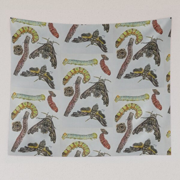 Item preview, Abbott's Sphinx Moth hand drawn illustration designed and sold by HouseplantsAndScamps.
