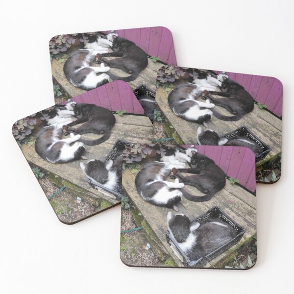 Item preview, Cats during their midday nap designed and sold by Gourmetkater.