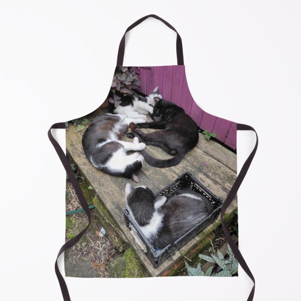 Item preview, Cats during their midday nap designed and sold by Gourmetkater.