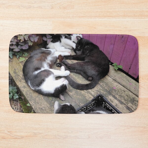 Item preview, Cats during their midday nap designed and sold by Gourmetkater.