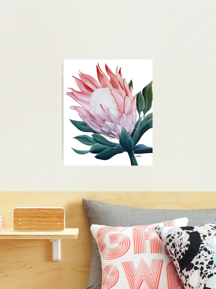 King Protea Flower Painting