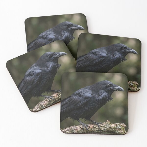 Item preview, Crow perched on a branch. designed and sold by Malisa345.