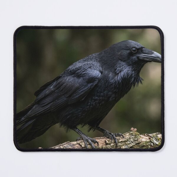 Item preview, Crow perched on a branch. designed and sold by Malisa345.
