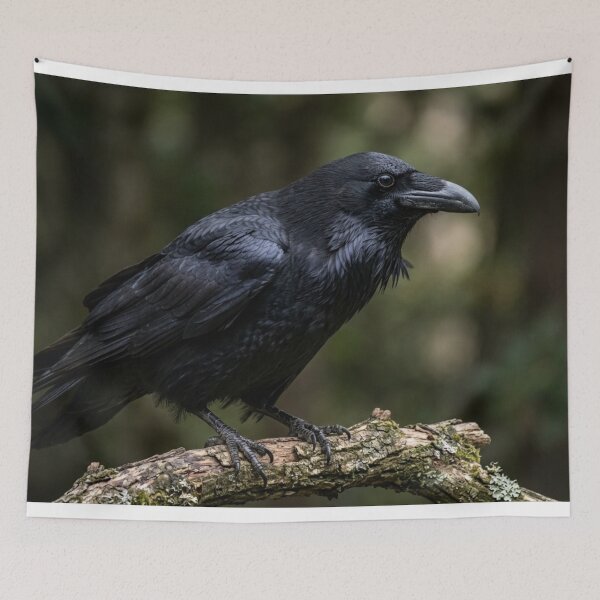 Item preview, Crow perched on a branch. designed and sold by Malisa345.