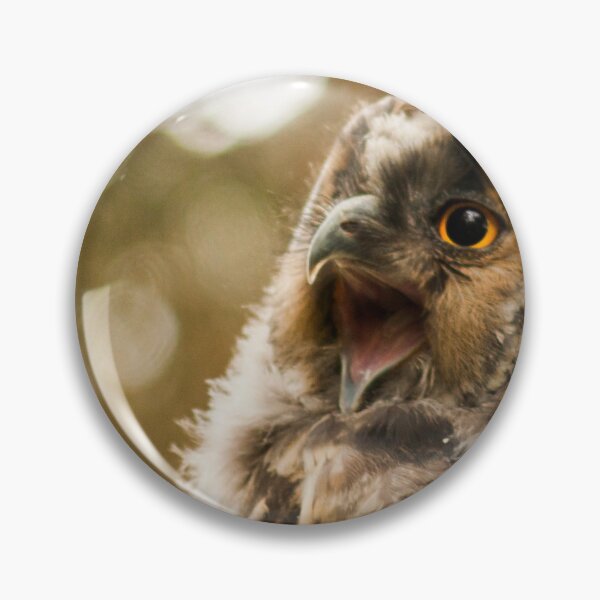 Item preview, eagleowl yawning designed and sold by alex77kar.
