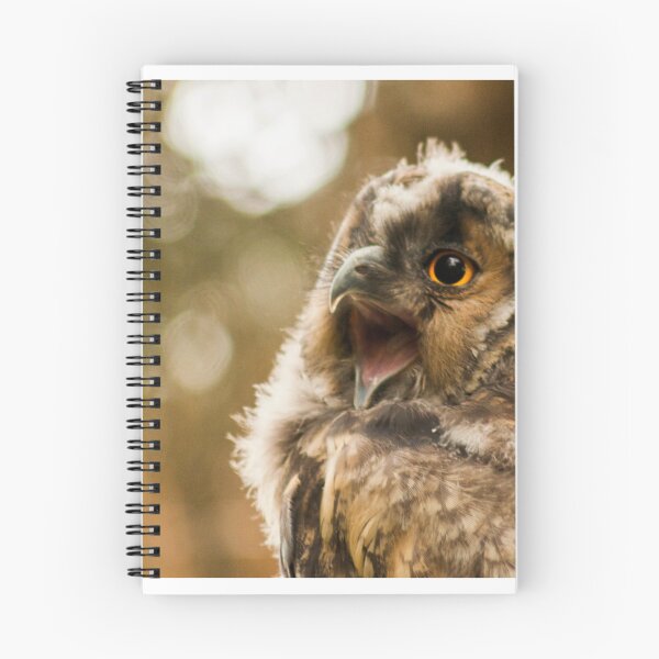 Item preview, eagleowl yawning designed and sold by alex77kar.