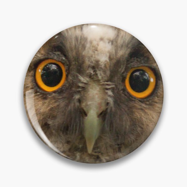 Item preview, Eagleowl close up designed and sold by alex77kar.