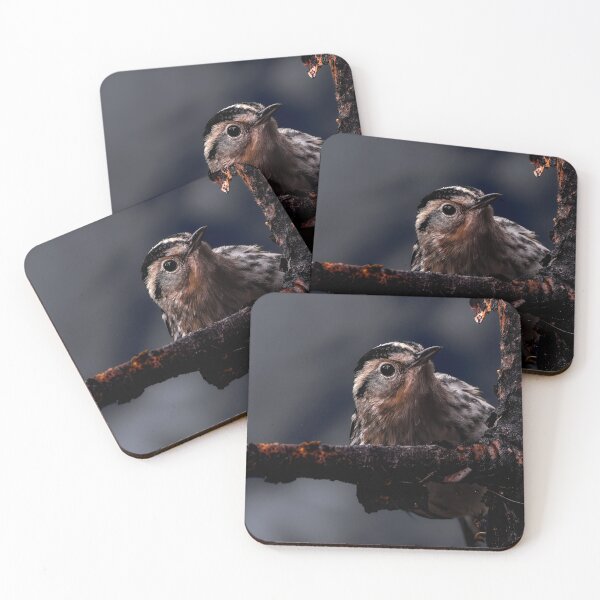 Item preview, Peaking Warbler designed and sold by MacGWander.