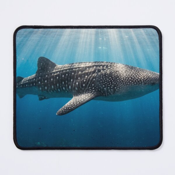Item preview, Whale shark underwater with sunbeams. designed and sold by Malisa345.