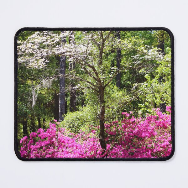 Item preview, Bright Pink Blossoms in a Forest designed and sold by Cynthia48.