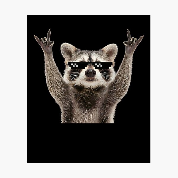 Item preview, Cool Rocker Raccoon with Pixel Sunglasses designed and sold by k3rstman1.