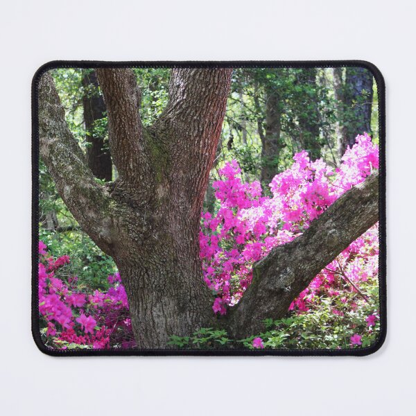 Item preview, Vibrant Pink Blossoms designed and sold by Cynthia48.