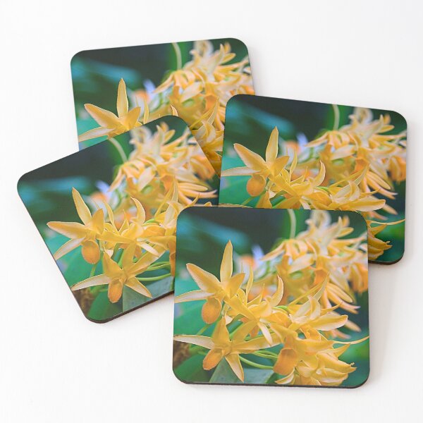 Item preview, Amber Starburst designed and sold by WeatherShot.