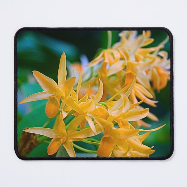Item preview, Amber Starburst designed and sold by WeatherShot.