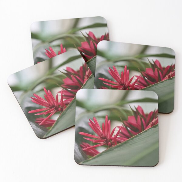 Item preview, Contrast in Crimson designed and sold by WeatherShot.