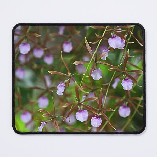 Item preview, Butterfly beauty. designed and sold by WeatherShot.