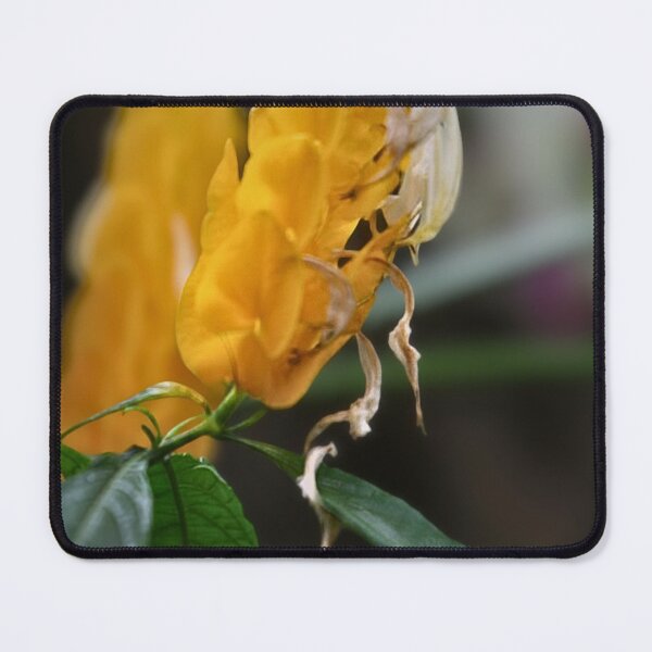 Item preview, Golden Shrimp Bloom designed and sold by WeatherShot.