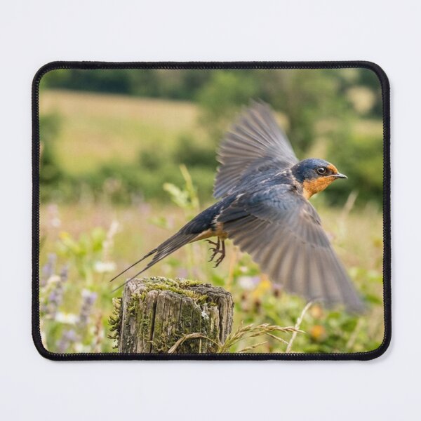 Item preview, Bird taking off. designed and sold by Malisa345.