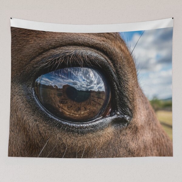 Item preview, Reflection of the sky in the eye of a horse. designed and sold by Malisa345.