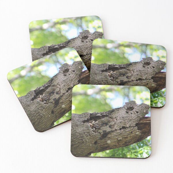 Item preview, Tree Bark Sticking Out Tongue  designed and sold by Cynthia48.