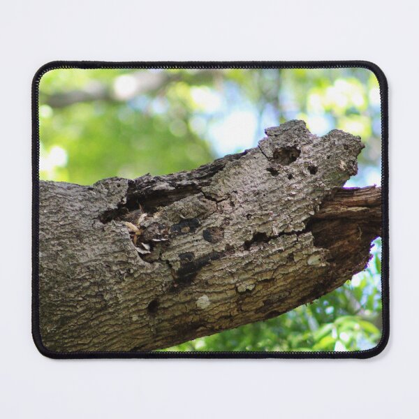 Item preview, Tree Bark Sticking Out Tongue  designed and sold by Cynthia48.