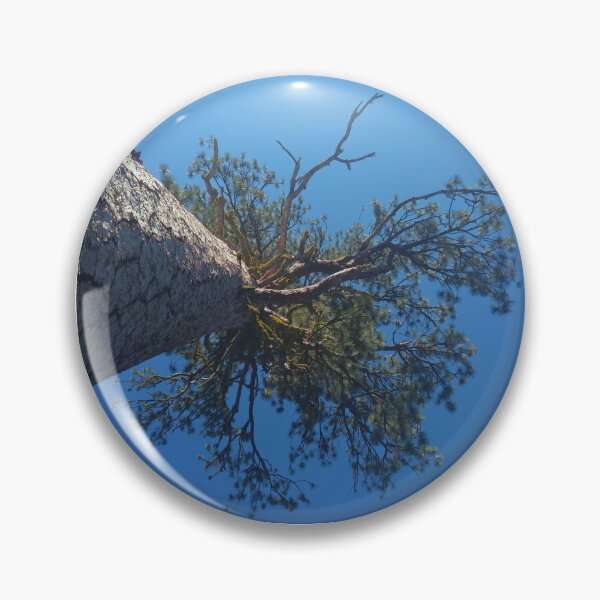 Item preview, Great big honkin' Jeffrey pine designed and sold by EcoLogicPhotos.