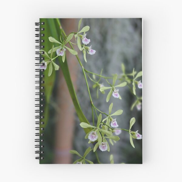 Item preview, Butterfly beauty 2. designed and sold by WeatherShot.