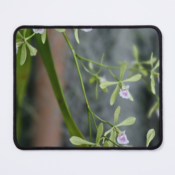 Item preview, Butterfly beauty 2. designed and sold by WeatherShot.