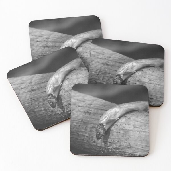 Item preview, Bird Food designed and sold by Cynthia48.