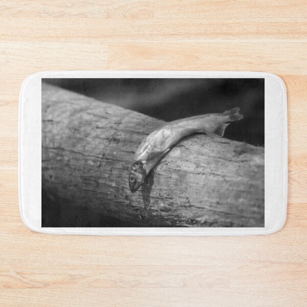 Item preview, Bird Food designed and sold by Cynthia48.